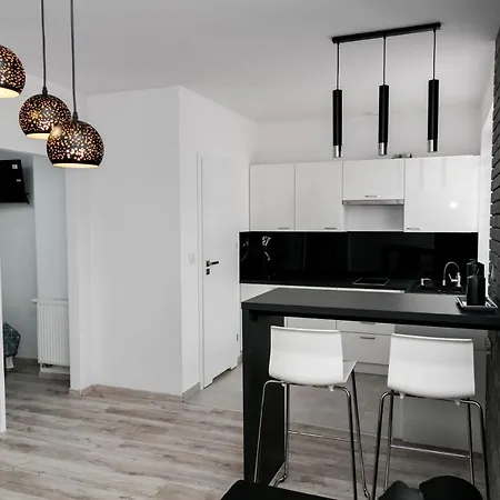 Z Lozem Malzenskim - Bezplatny Parking Apartament Poznań